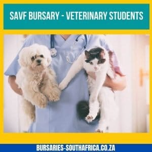 savf bursary for Veterinary students